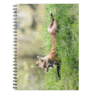 Red Fox Kit Notebook