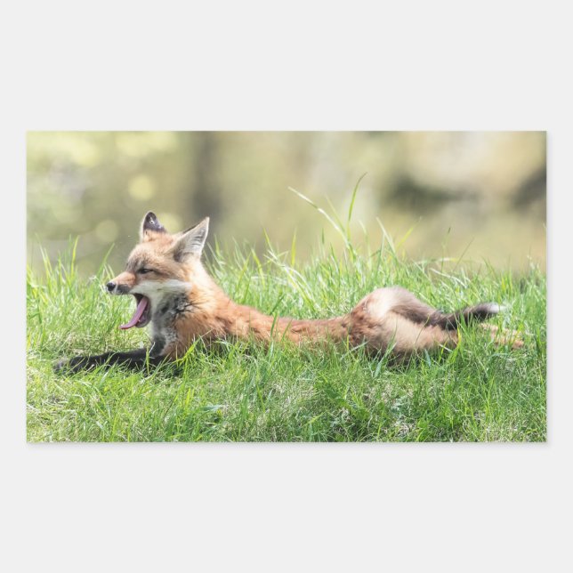Red Fox Kit Sticker (Front)
