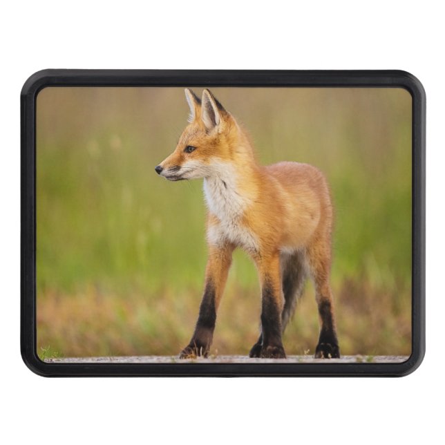 Red Fox Kit Trailer Hitch Cover (Front)