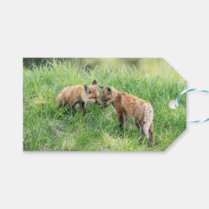Red Fox Kits Gift Tags