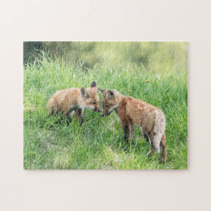 Red Fox Kits Jigsaw Puzzle