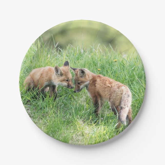 Red Fox Kits Paper Plate (Front)