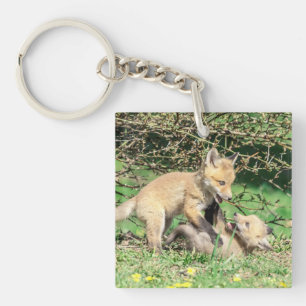 Red Fox Kits Playing Keychain