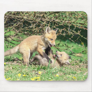 Red Fox Kits Playing Mouse Pad