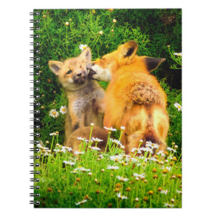 Red Fox Kits Spiral Notebook   Wildlife Journal