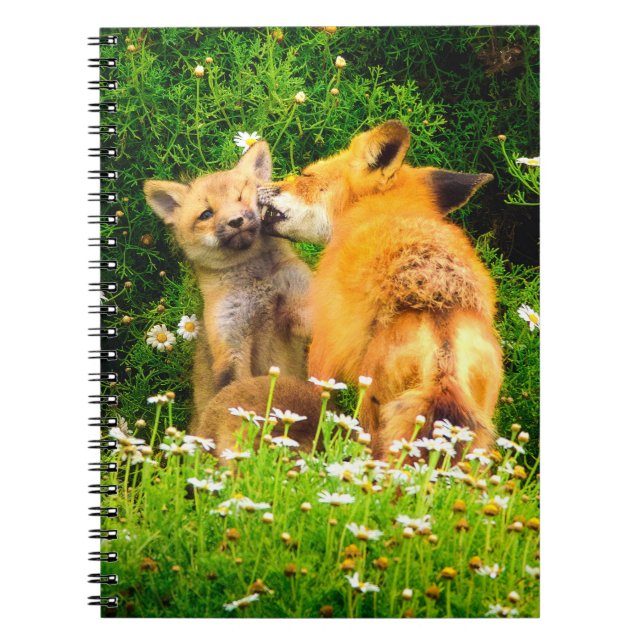 Red Fox Kits Spiral Notebook | Wildlife Journal (Front)