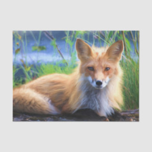 Red Fox Laying in the Grass Scenic Wildlife Tissue Paper