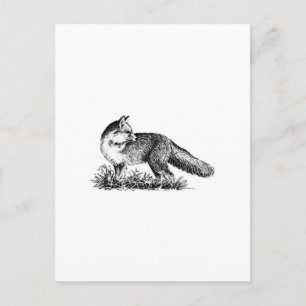 Red Fox (line art) Postcard