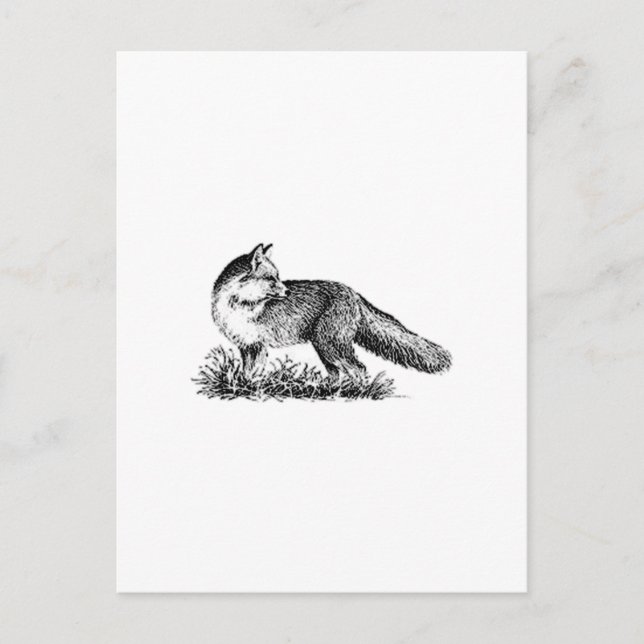 Red Fox (line art) Postcard (Front)
