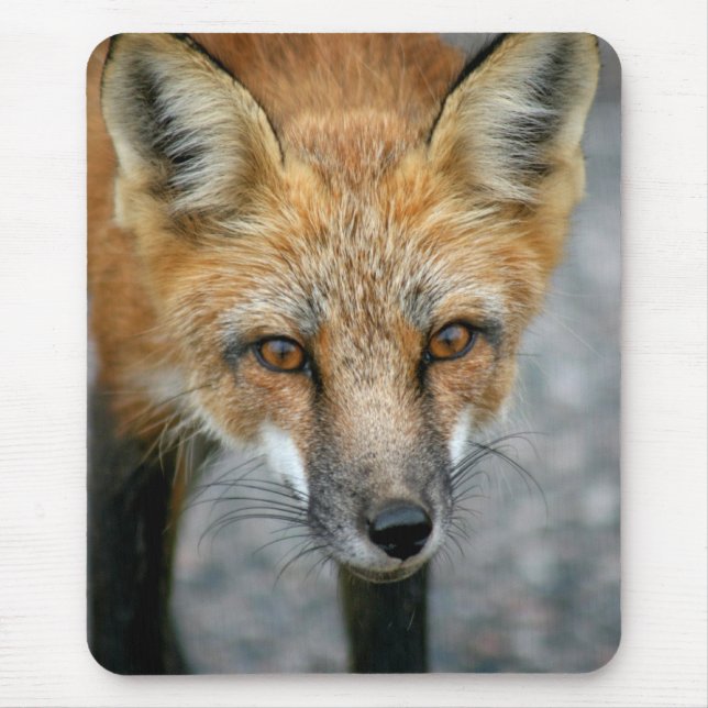 Red Fox Mouse Pad (Front)