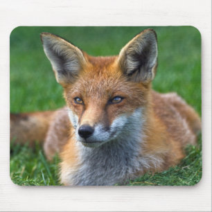 Red Fox Mousemat Mouse Pad