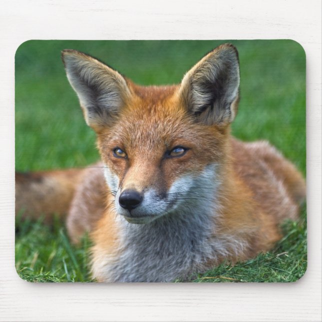 Red Fox Mousemat Mouse Pad (Front)