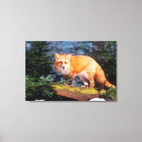 Red Fox on a log