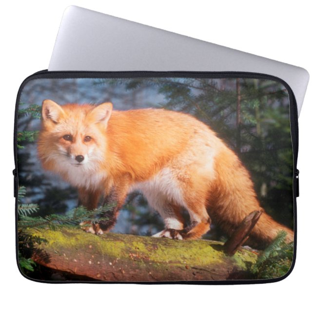 Red Fox on a log Laptop Sleeve (Front)