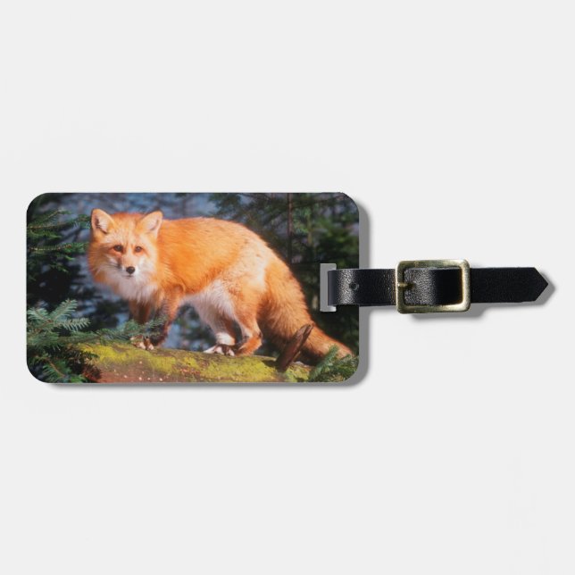 Red Fox on a log Luggage Tag (Front Horizontal)
