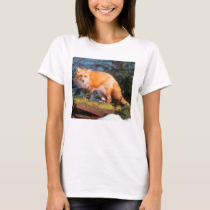 Red Fox on a log T-Shirt