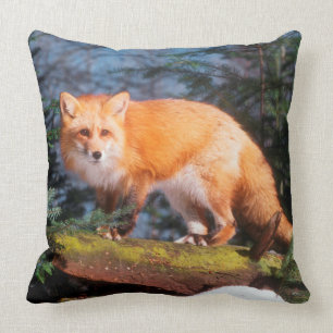 Red Fox on a log Throw Pillow