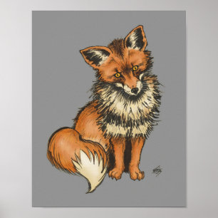 Red Fox on Grey background Poster