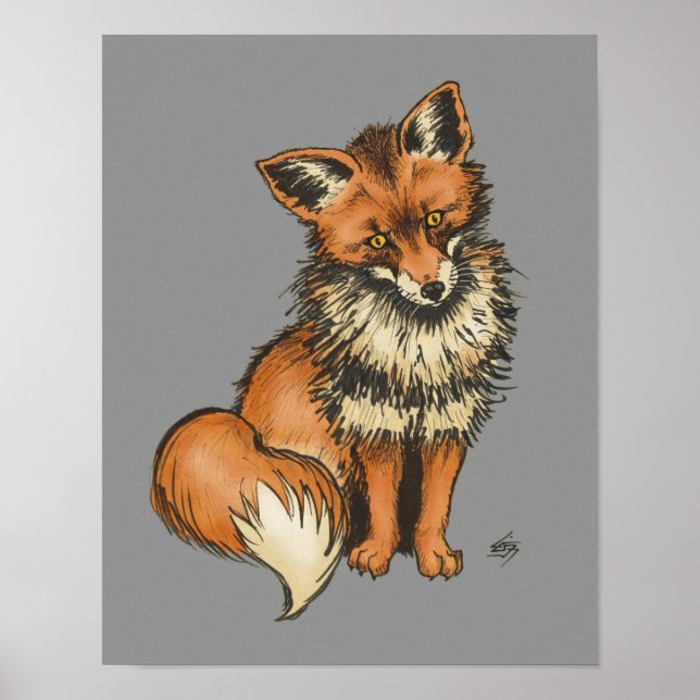 Red Fox on Grey background Poster (Front)