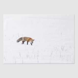 RED FOX ON SNOW TISSUE PAPER