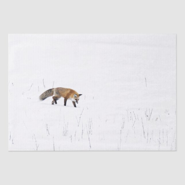 RED FOX ON SNOW TISSUE PAPER (Front)