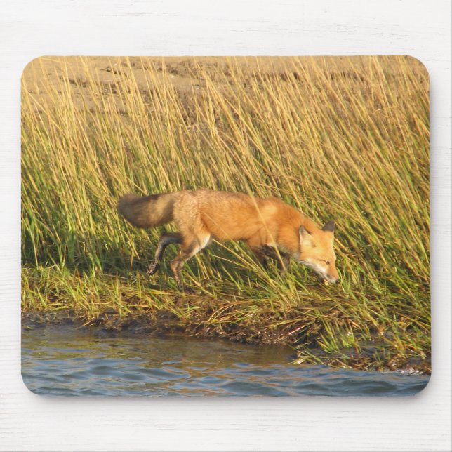 Red Fox Photograph Mouse Pad (Front)