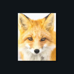 Red Fox Portrait Canvas Print<br><div class="desc">Red fox in Alaska's Arctic,  Atigun Pass,  Brooks Range</div>