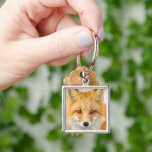 Red Fox Portrait Keychain<br><div class="desc">Red fox in Alaska's Arctic,  Atigun Pass,  Brooks Range</div>