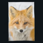 Red Fox Portrait Kitchen Towel<br><div class="desc">Red fox in Alaska's Arctic,  Atigun Pass,  Brooks Range</div>