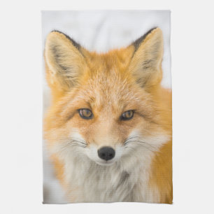 Red Fox Portrait Kitchen Towel