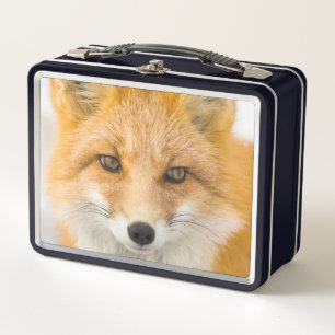 Red Fox Portrait Metal Lunch Box