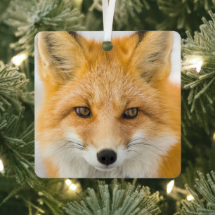 Red Fox Portrait Metal Ornament