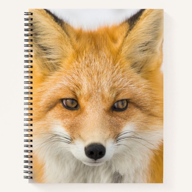 Red Fox Portrait Notebook (Front)