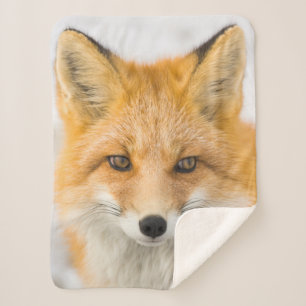 Red Fox Portrait Sherpa Blanket