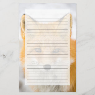 Red Fox Portrait Stationery