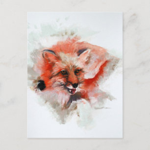 Red Fox Postcard