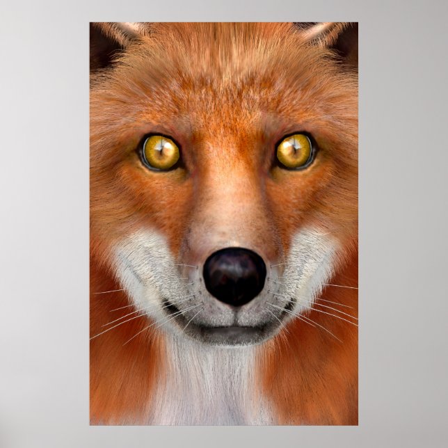 Red Fox Poster (Front)