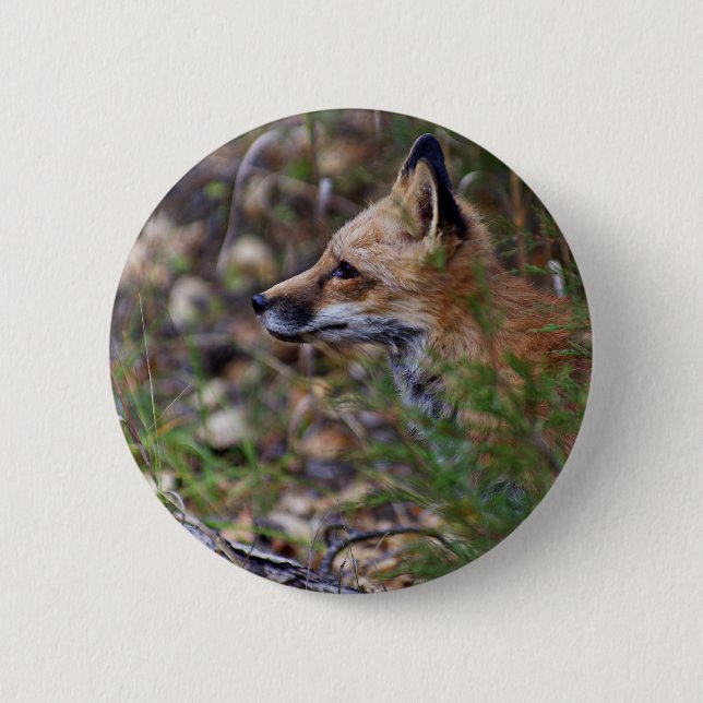 Red Fox - Profile of a Fox 2 Inch Round Button (Front)