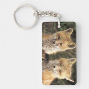 Red Fox pup in front of den Vulpes vulpes) Keychain