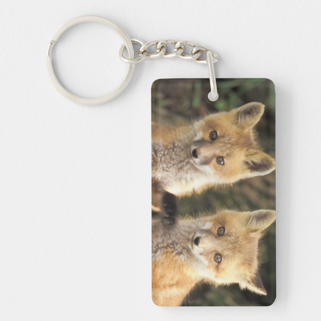 Red Fox pup in front of den Vulpes vulpes) Keychain (Front)