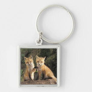Red Fox pup in front of den Vulpes vulpes) Keychain