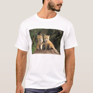 Red Fox pup in front of den Vulpes vulpes) T-Shirt