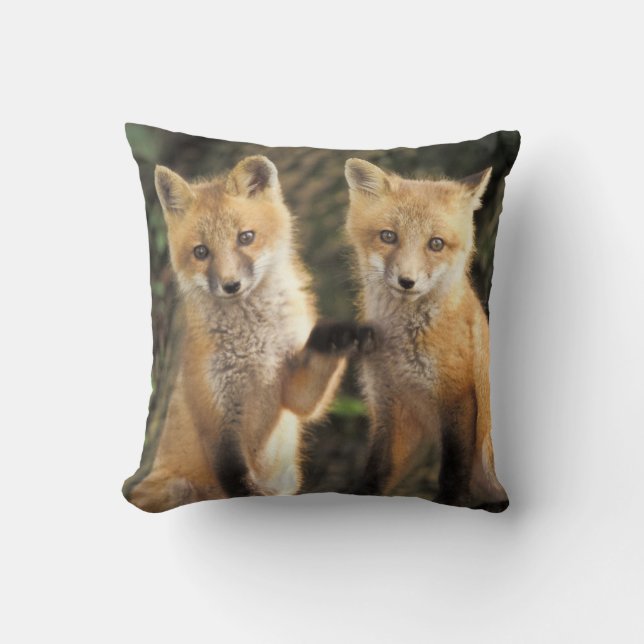Red Fox pup in front of den Vulpes vulpes) Throw Pillow (Front)