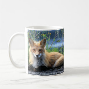 Red Fox Resting Mug