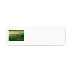 Red Fox Return Address Labels