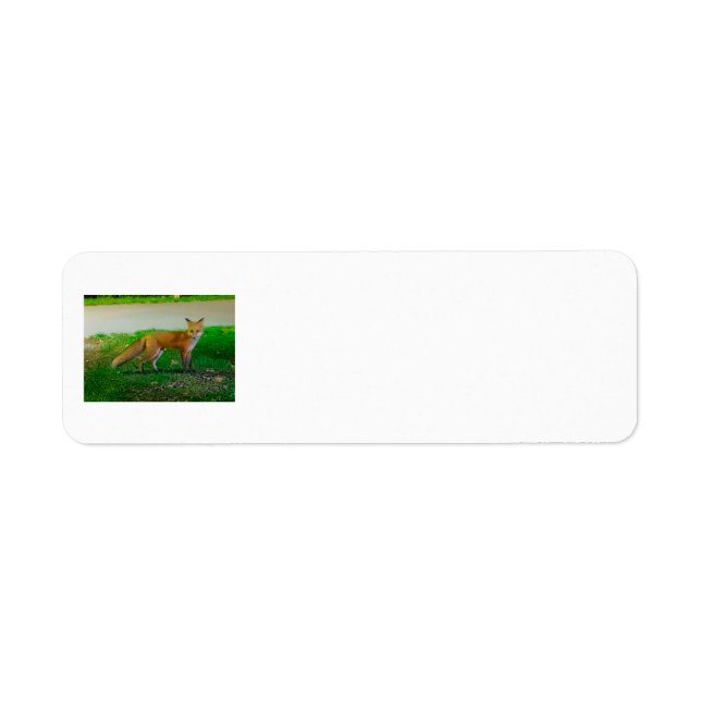 Red Fox Return Address Labels (Front)