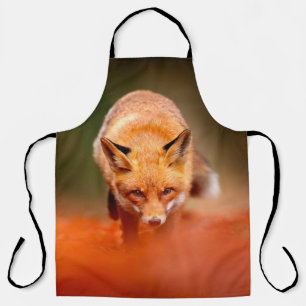 Red fox running on orange autumn leaves. Cute Red  Apron