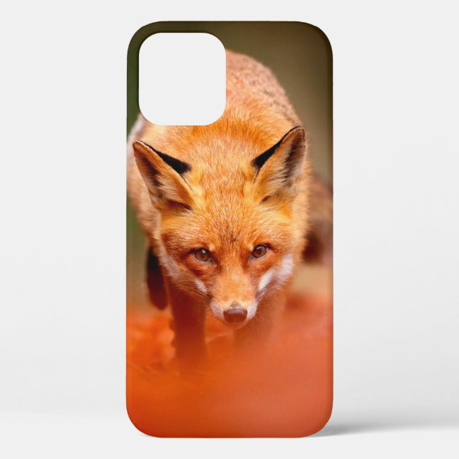Red fox running on orange autumn leaves. Cute Red  Case-Mate iPhone Case (Back)