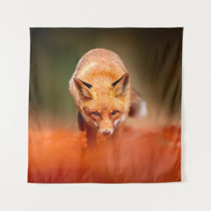 Red fox running on orange autumn leaves. Cute Red Tapestry