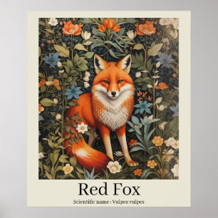 Red Fox Scientific Name Wildlife Poster
